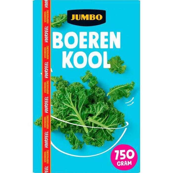Jumbo Boerenkool Voordeelverpakking 750 g (750g)