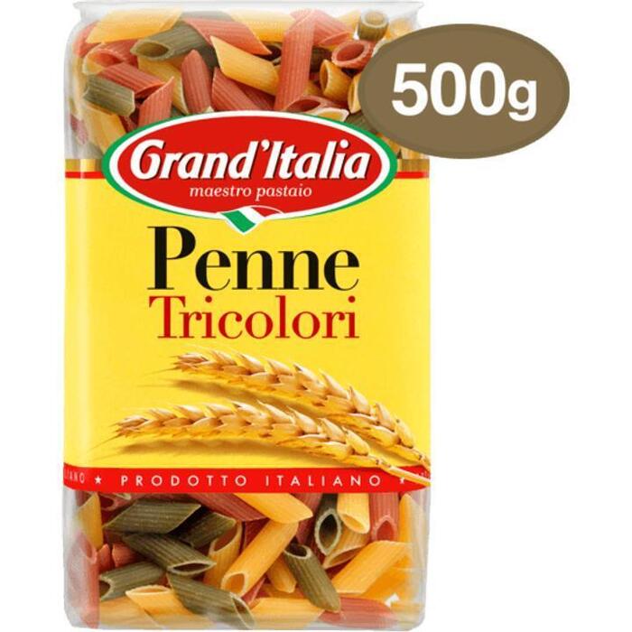 Penne tricolori (500g)