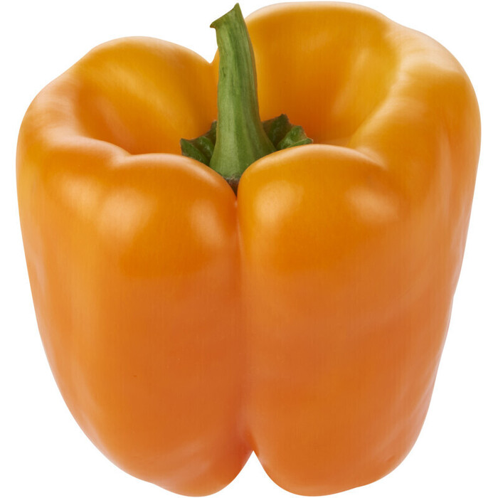 AH Paprika oranje los