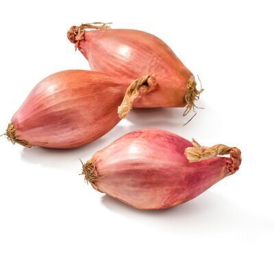 Sjalotten (netje, 250g)