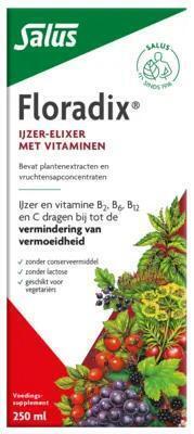 Floradix ijzer-elixer (250ml)