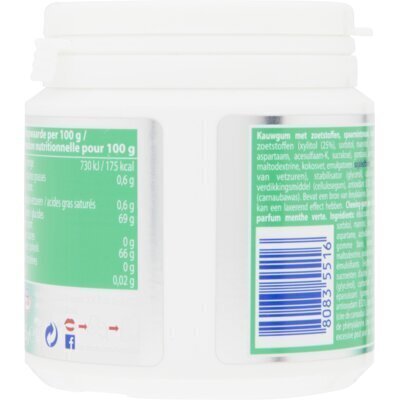 Mentos Gum White green mint (113g)