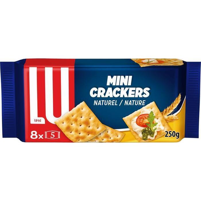 Mini Crackers Naturel (Pak, 250g)