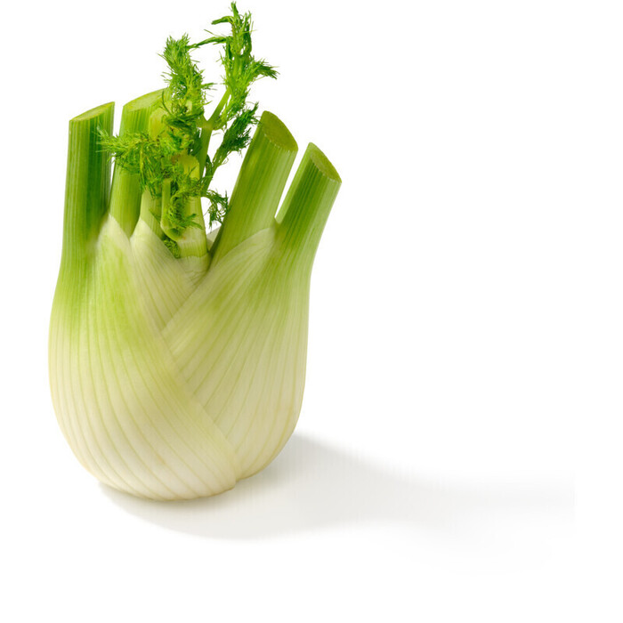 AH Venkel (stuk)