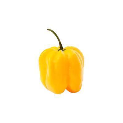 AH Adjuma peper