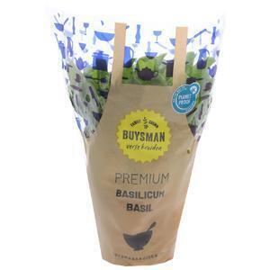 Basilicum grote pot