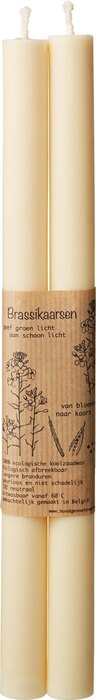 Dinerkaarsen ivoor