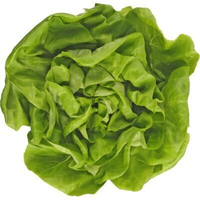 AH Kropsla