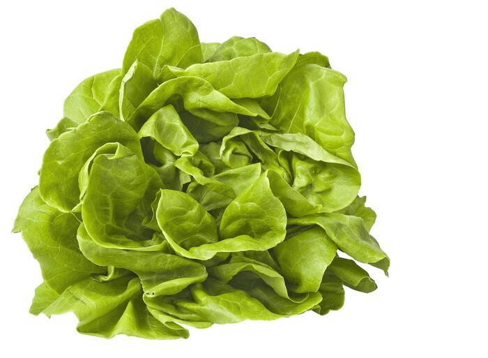Kropsla