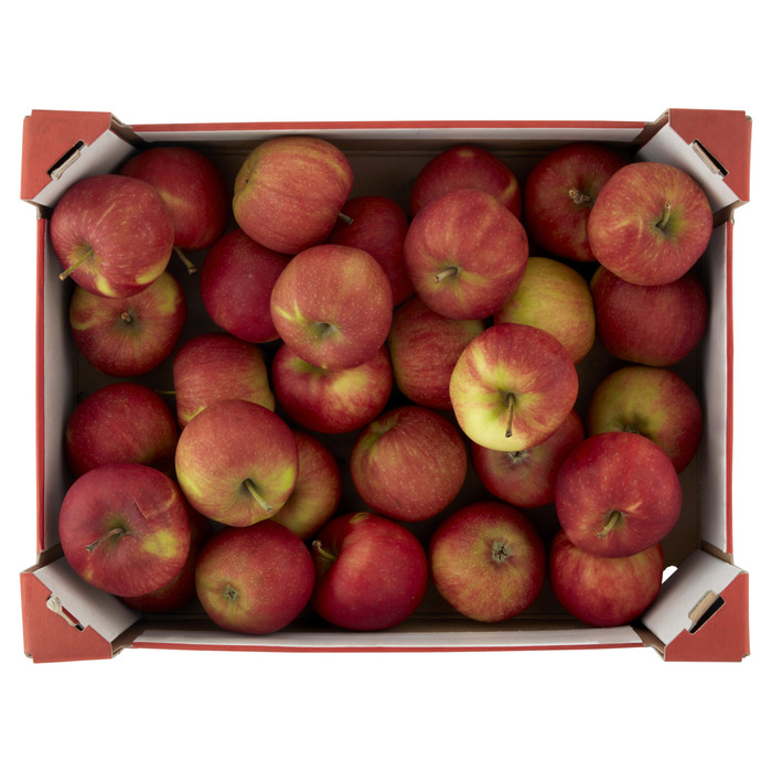 BelOrta Jonagold Apple (5kg)