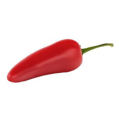 AH Jalapeño peper rood