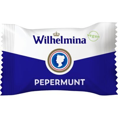 Doos pepermunt vegan psv (950g)