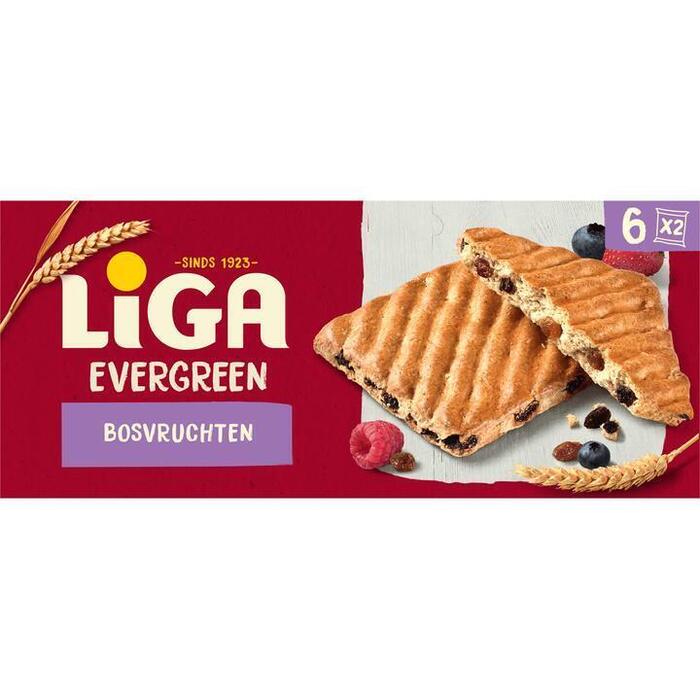 Evergreen bosvruchten (Pak, 250g)