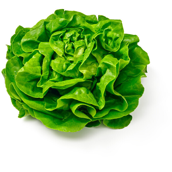 AH Kropsla