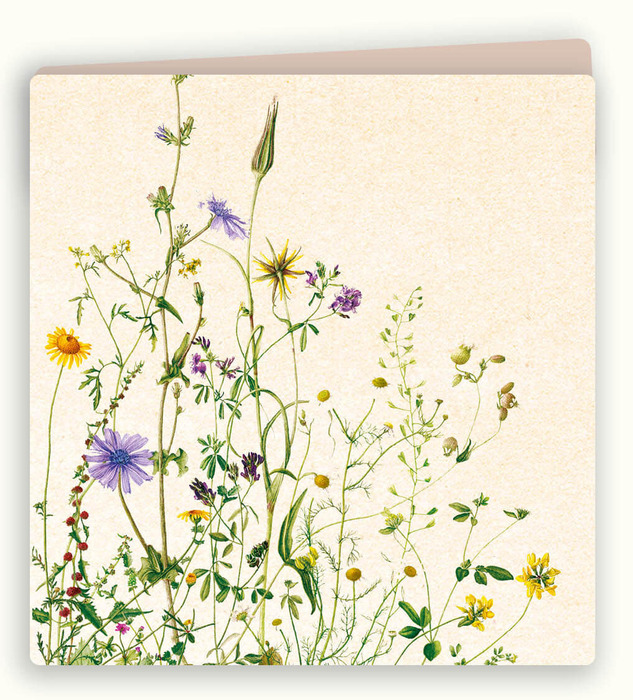 Kaart marianne veldbloemen
