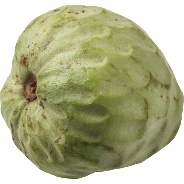 AH Cherimoya