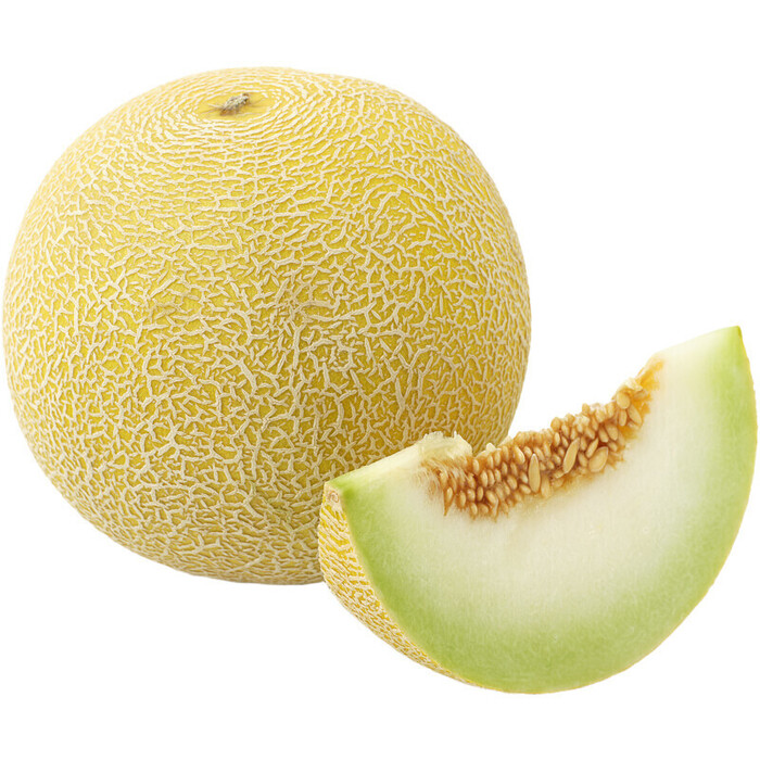 AH Galia meloen (stuk)