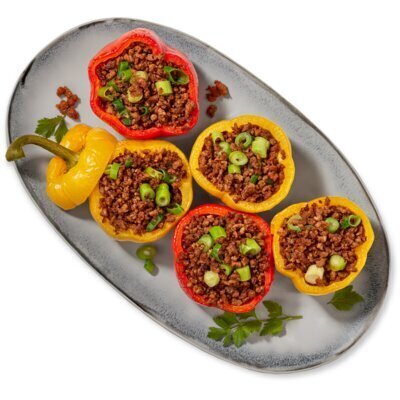 AH Terra Plantaardig rulgehakt (375g)