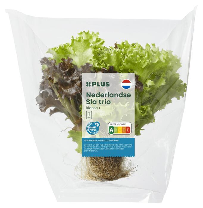 Sla salanova trio (145g)