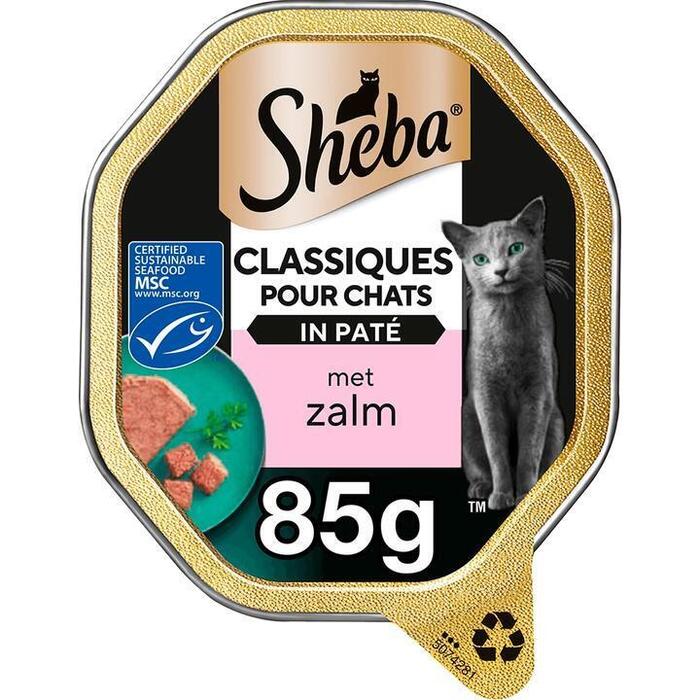 Classics Paté met Zalm kuipje (Kuipje, 85g)