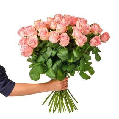 AH Roze rozen x15