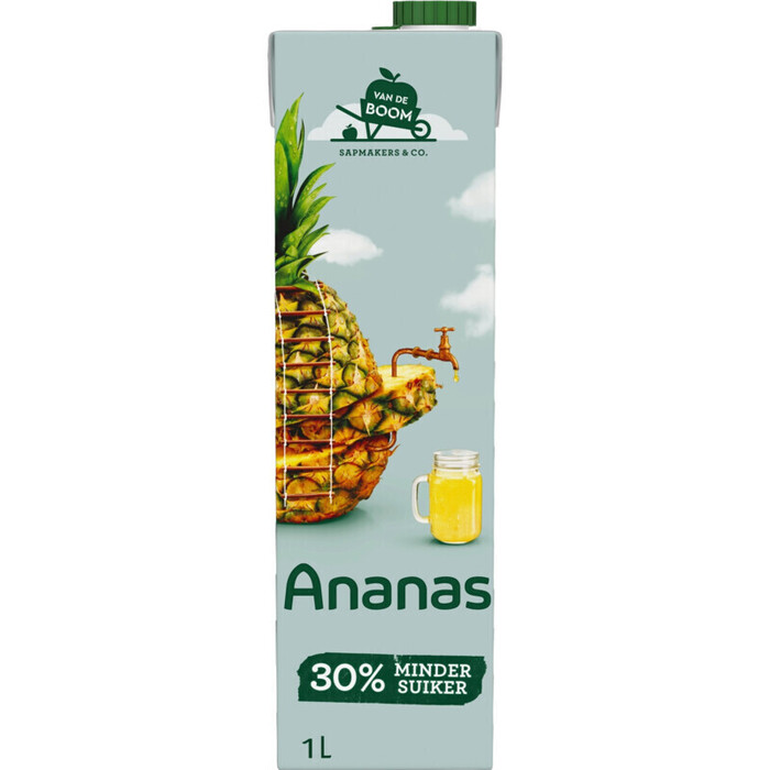 Van de Boom Ananassap (1L)