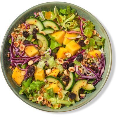 AH Terra Maaltijdsalade mango hazelnoten (400g)