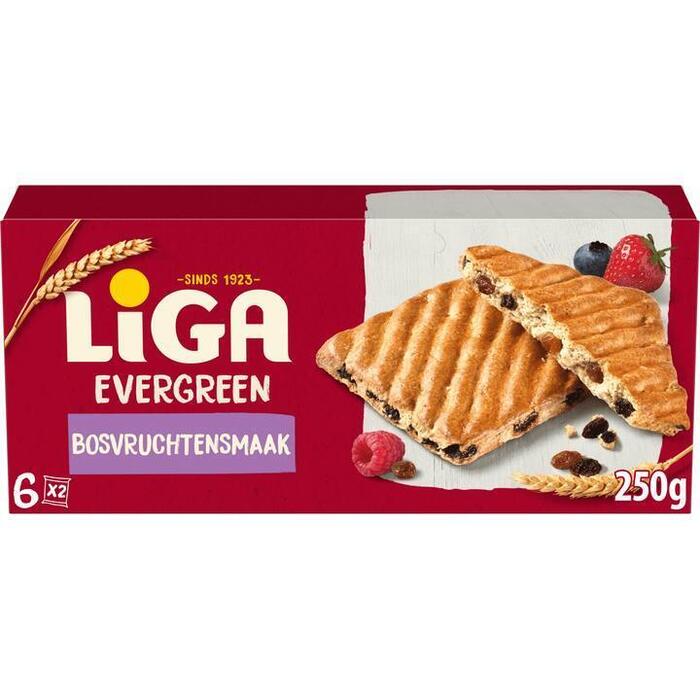 Evergreen bosvruchten (Pak, 250g)