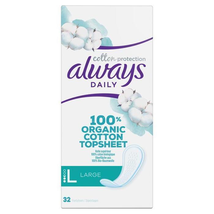 Always Dail cotton large