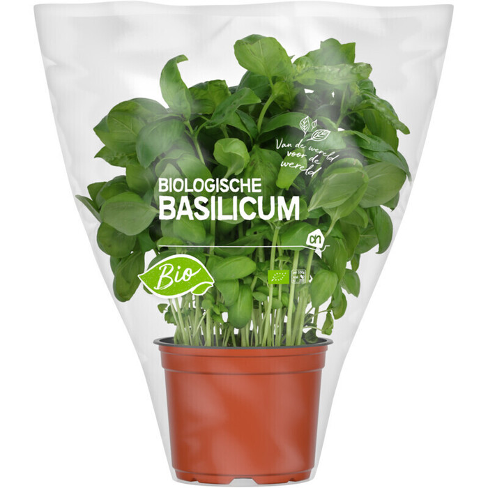 Biologische basilicum (stuk)