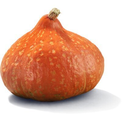 AH Biologisch Pompoen (1kg)