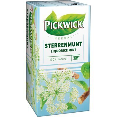 Sterrenmunt Thee (Stuk, 20 × 2g)