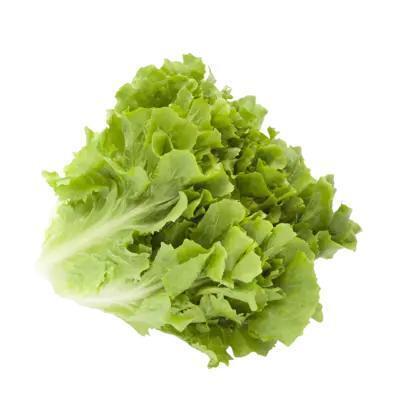 AH Andijvie (1kg)
