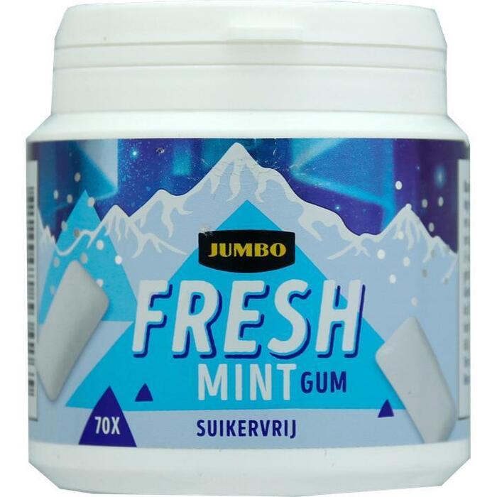 Jumbo Fresh Mint Gum Suikervrij 70 Stuks 100 g (100g)