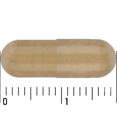 Care Mariadistel 250mg