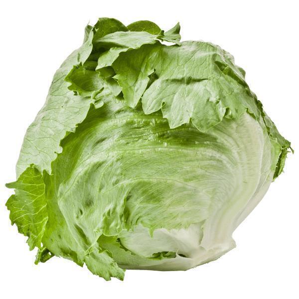 Fresh Source IJsbergsla maat 10 500 GRM Zak (500g)
