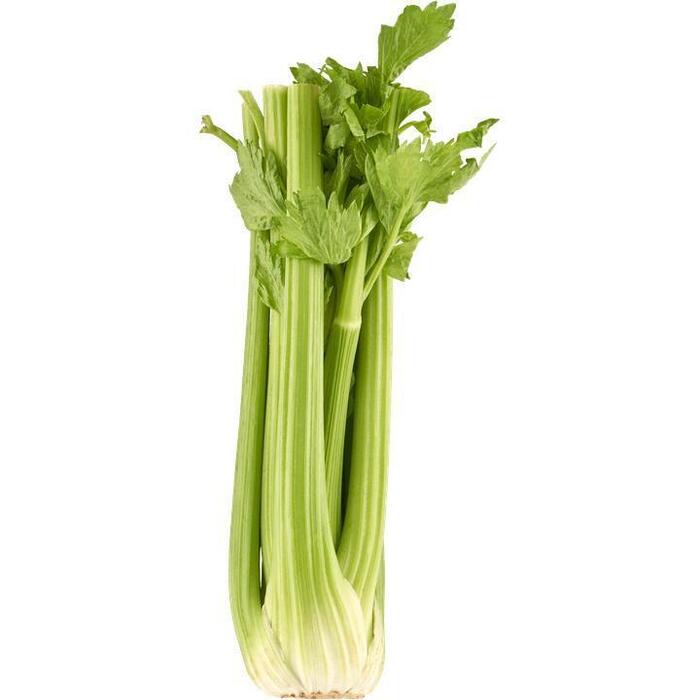 Jumbo Bleekselderij