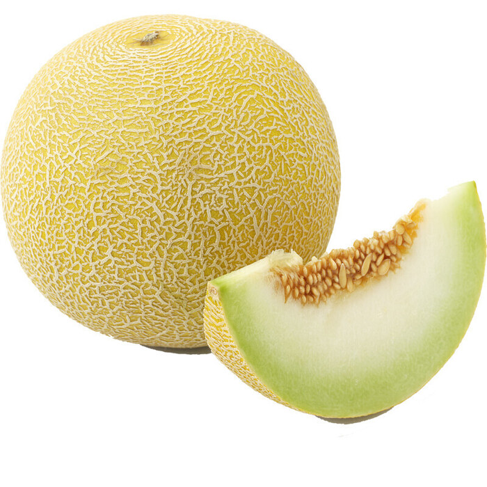 AH Galia meloen (stuk)