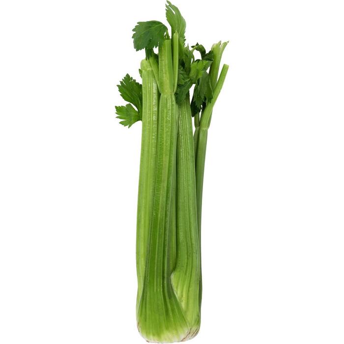 Bleekselderij