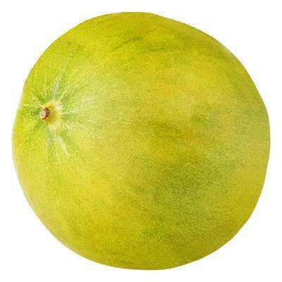 AH Limelon