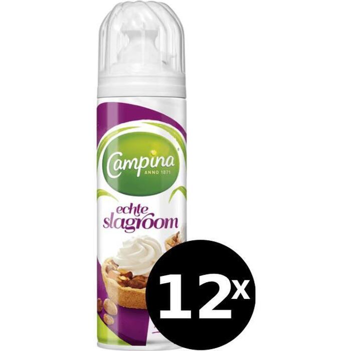 Campina Echte Slagroom