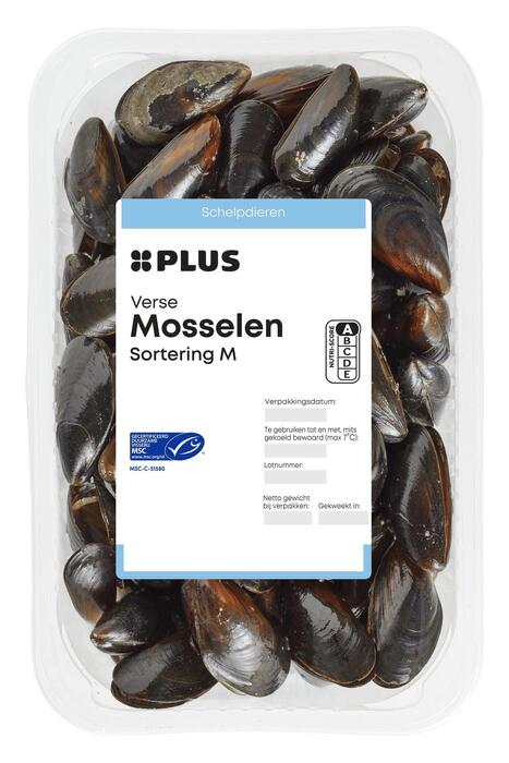 Verse Zeeuwse Mosselen, MSC (2kg)