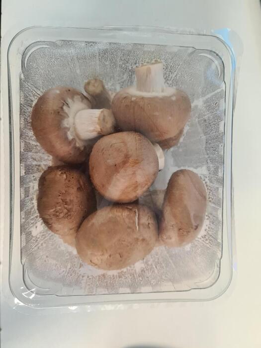 KASTANJE CHAMPIGNONS 250 GRAM (250g)