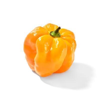 AH Adjuma peper