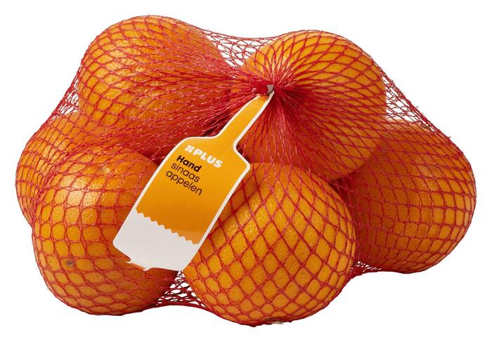 Handsinaasappelen (1kg)