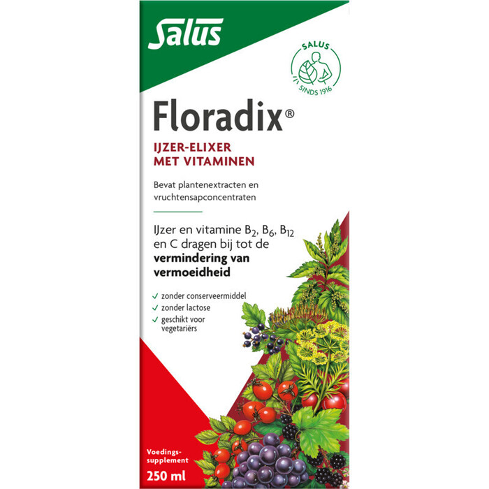 Floradix ijzer-elixer (250ml)