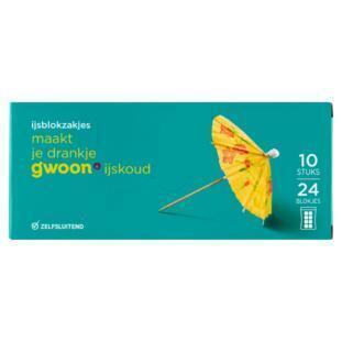 g'woon IJsblokzakjes 10 Stuks