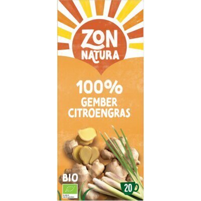 100% gember (30g)
