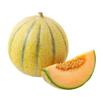 AH Cantaloupe meloen