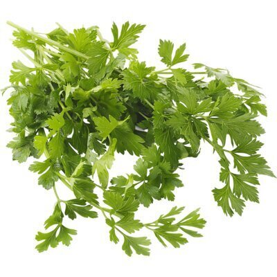 AH Platte peterselie (15g)
